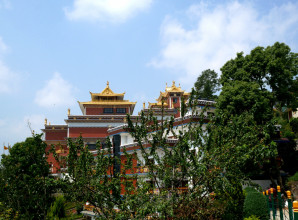 Thrangu Tashi Yangtse Monastery